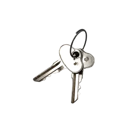 KEY SET , IGNITION-DIESEL 295