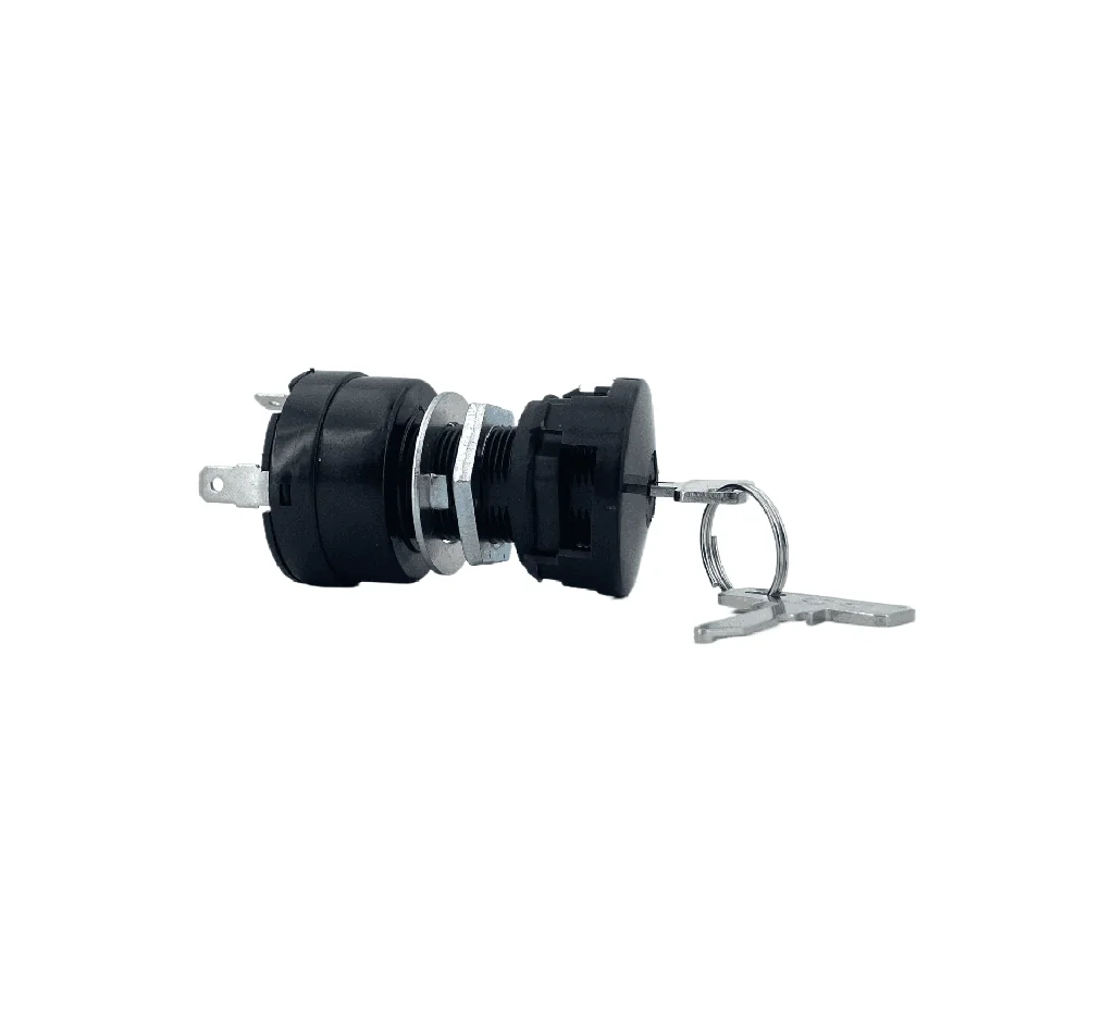 KEY SWITCH, ELEC, PREC