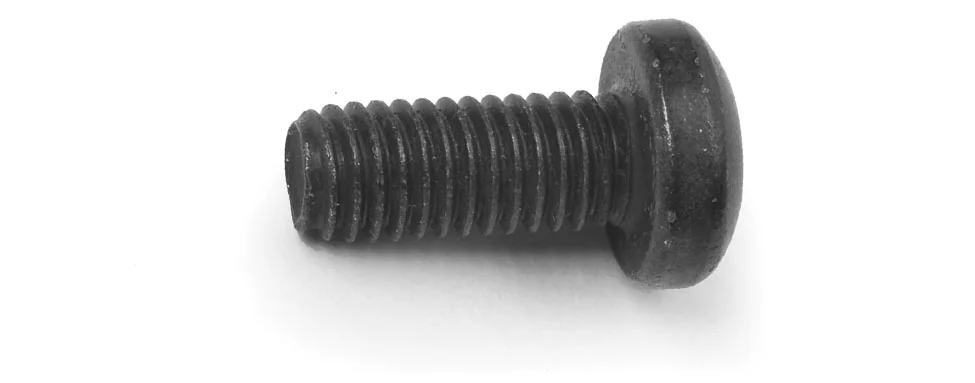 [102554512] SCREW M5-08X12 TORX PN TRS