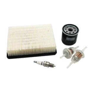 [101611003] TUNE UP KIT OHV