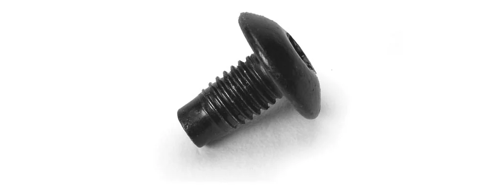 [105101001] M5-0.8X10, TORX, TRS