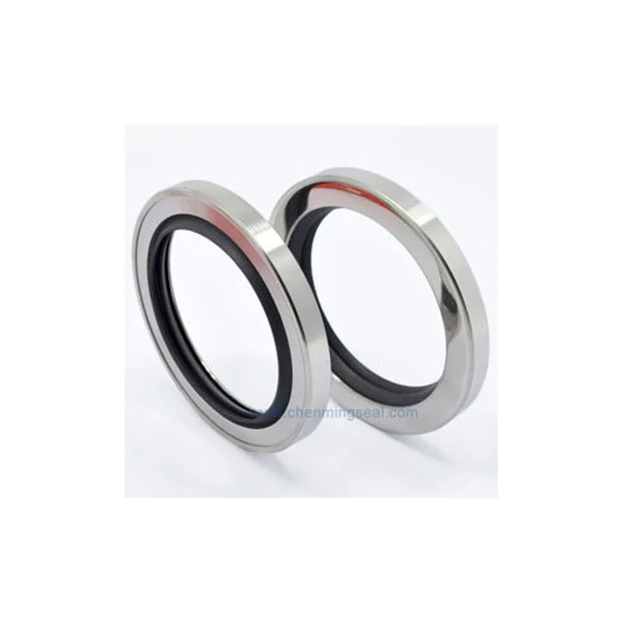 [102721501] SEAL, DUAL LIP