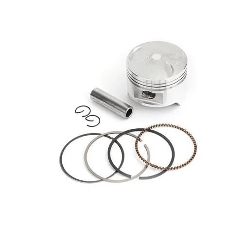 [102607602] ASSY PISTON RING, D722 +.025