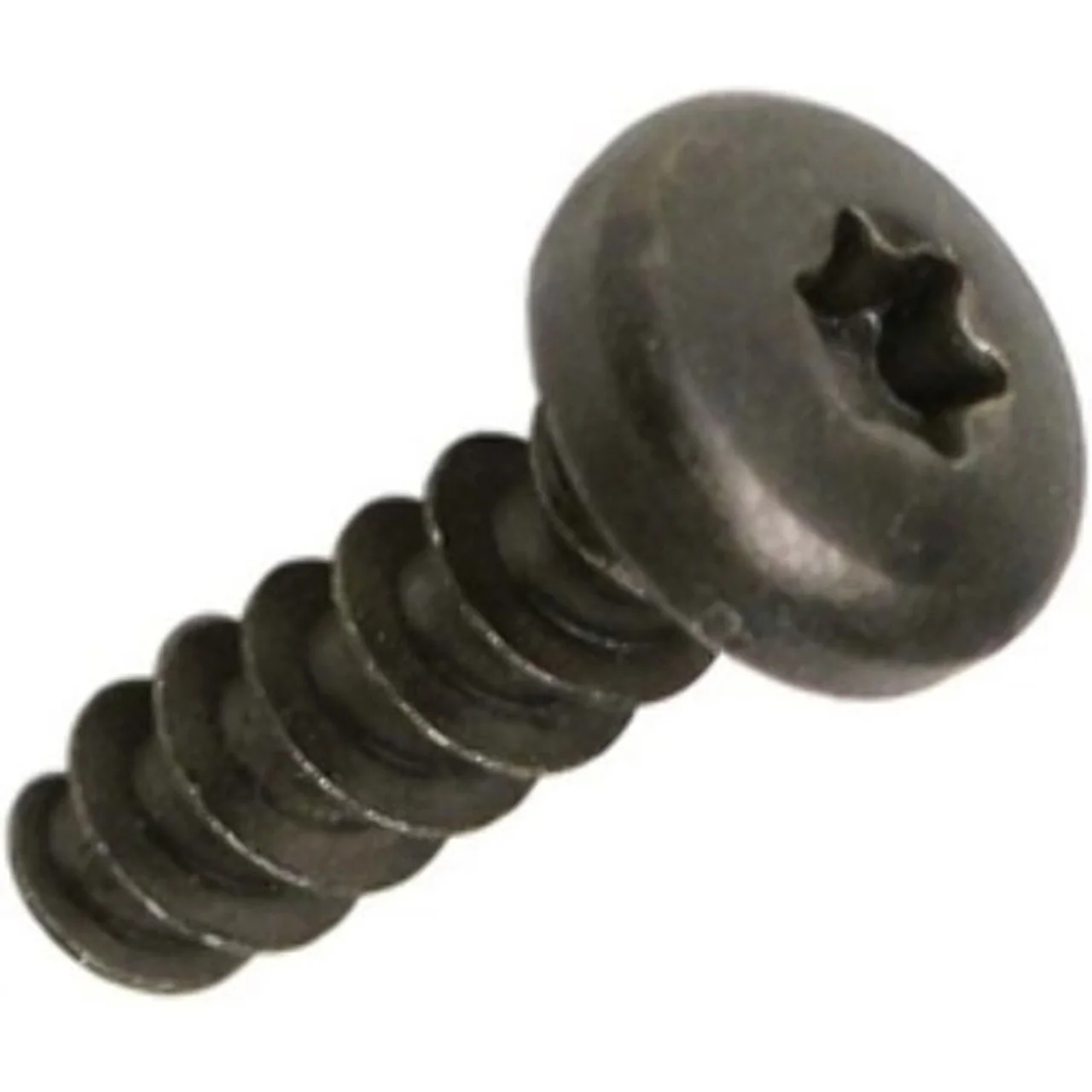 [1014321] SCREW, #10 TRUSS HEAD TORX