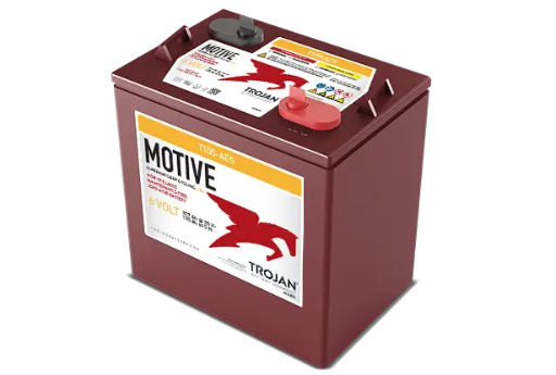 [103969699] BATTERY,6V TROJAN T105, WET,SP